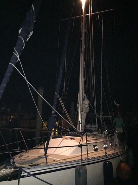 ED29E8EA-4263-491A-B096-ACCB80676FA4