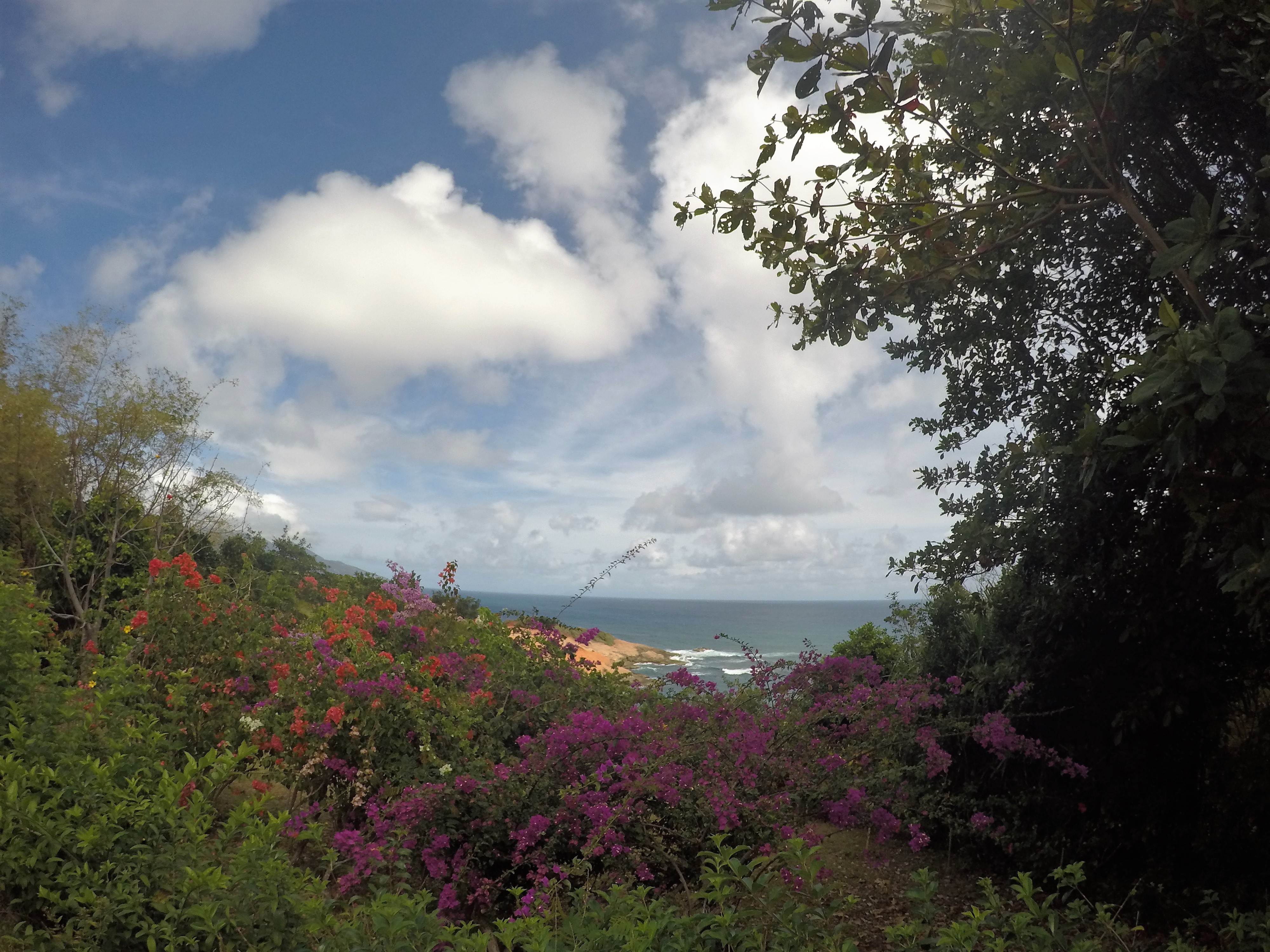 DCIM100GOPROGOPR0705.