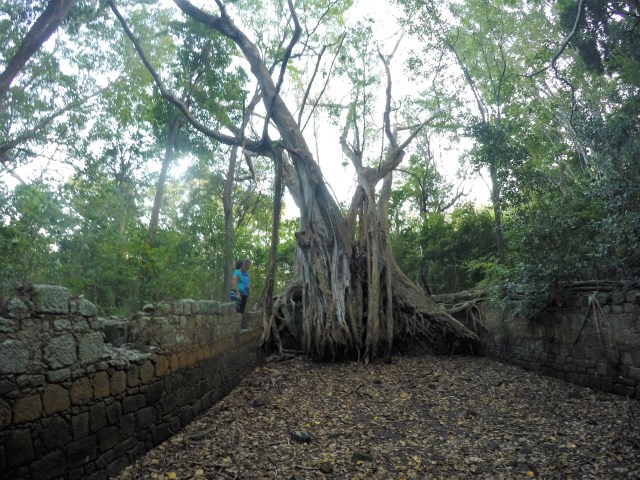 DCIM100GOPROGOPR0781.