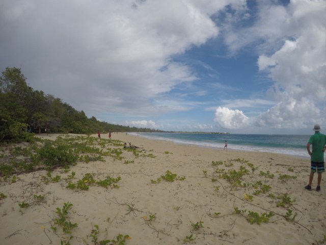 DCIM100GOPROGOPR0810.