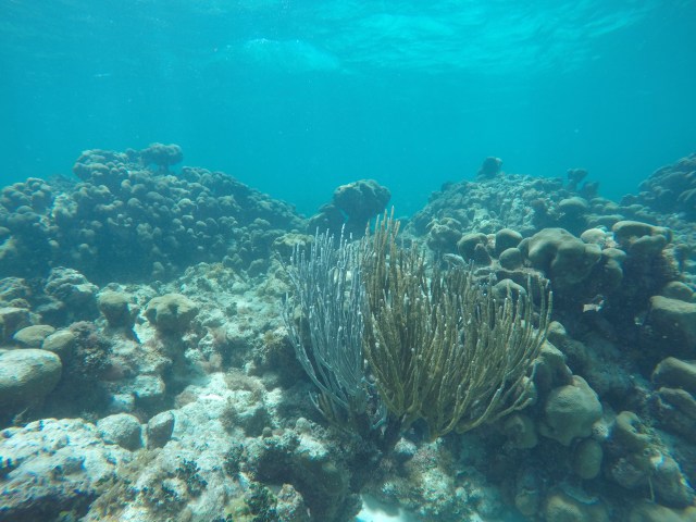 DCIM100GOPROGOPR0856.